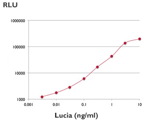 Activity of recombinant Lucia luciferase protein