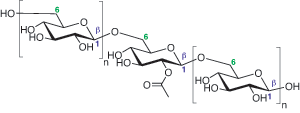 Partial structures of pustulan