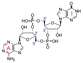 cAIMP chemical structure