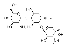 Skeletal formula of G418