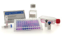 PlasmoTest™ - Mycoplasma Detection Kit