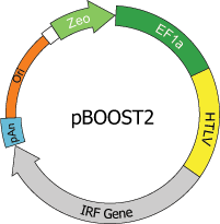 pBOOST2 map