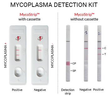 MycoStrip™