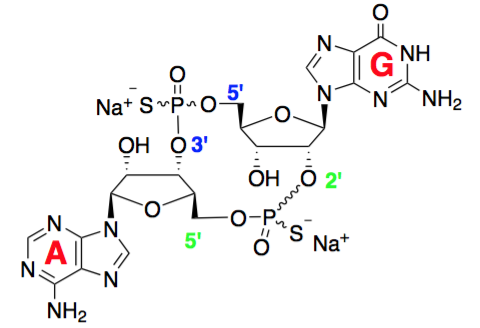 Structure of 23-cGAM-PS2