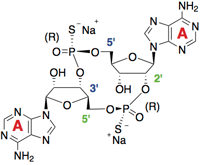 Structure of 23-cdiAMPS2