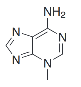 3-Methyladenine chemical structure