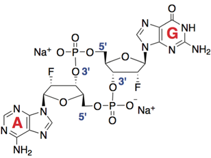 c-di-AMP fluorinated