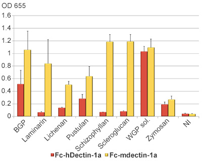 b-Glucan receptor binding assay