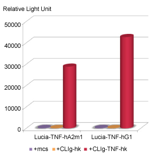 Luciferase activity of Lucia-tagged anti-hTNF-a antibodies