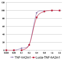 Neutralizing activity of anti-hTNF-alpha antibodies