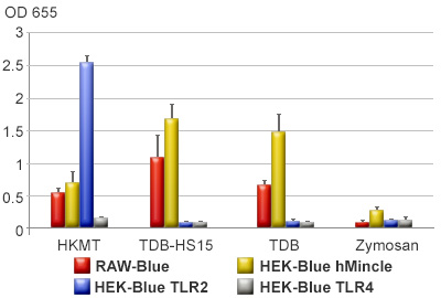 Responses to M. tuberculosis-derived ligands.