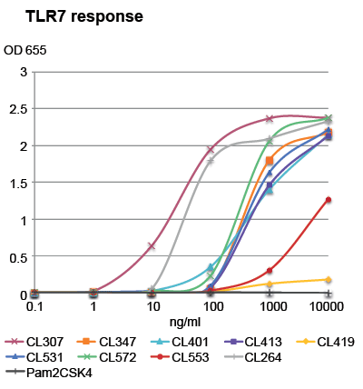 HEK-Blue™ hTLR7 cells stimulation