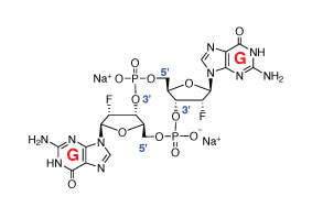 Structure of c-di-GMP Fluorinated