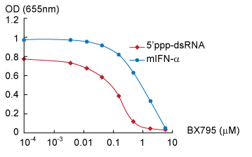 将B16-蓝色IFN-α/β细胞与不同浓度的BX795一起温育