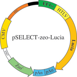 pSELECT-zeo-Lucia map