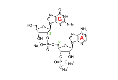2'3'-cGAMP-control chemical structure