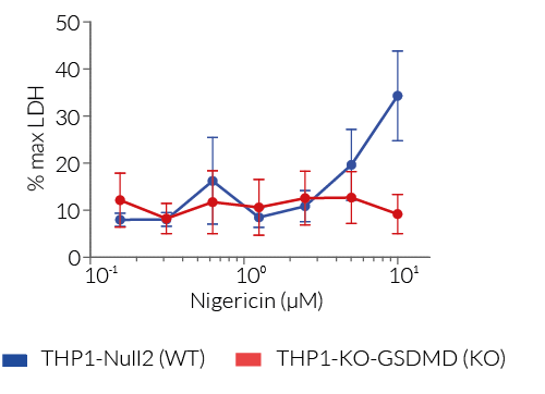 Altered pyroptosis of THP1-KO-GSDMD cells