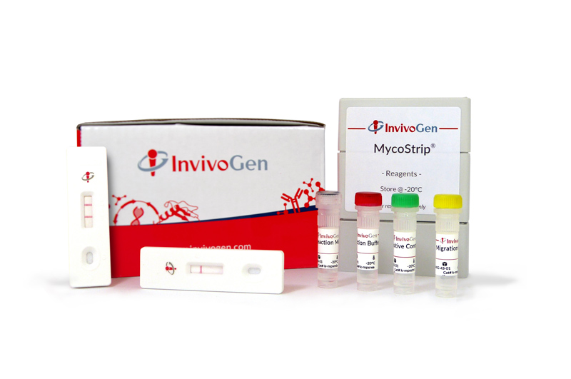 MycoStrip® - Mycoplasma Detection Kit