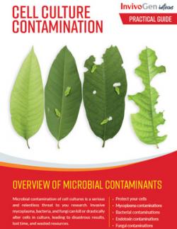 Cell culture contamination - Practical Guide - InvivoGen