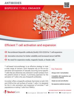 InvivoGen's product flyer on Bispecific T cell engager