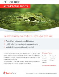 Flyer InvivoGen on Antimicrobial Agents