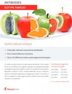 Flyer InvivoGen on Antibodies / Isotype Families 