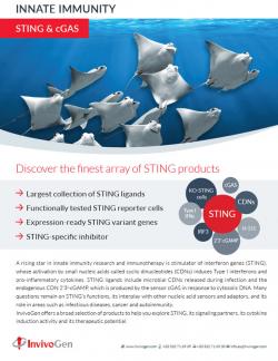 Flyer InvivoGen on STING & cGAS