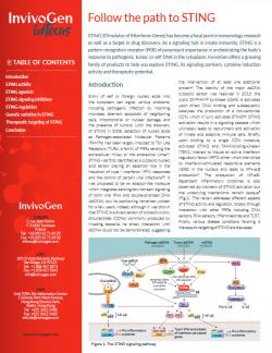 InvivoGen Infocus - Follow the path to STING