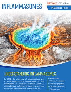 Inflammasomes - Practical guide - InvivoGen