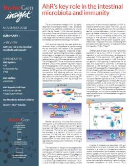 InvivoGen Insight Newsletter - AhR's key role in the intestinal microbiota and immunity