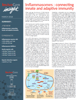 InvivoGen Insight newsletter - Inflammasome - Pyroptosis - Dectin-1 - Luciferase assays