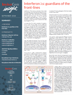 InvivoGen Insight Newsletter - Interferons λs: guardians of the front-lines