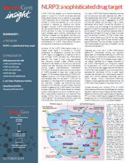 InvivoGen Insight Newsletter - NLRP3 inflammasome