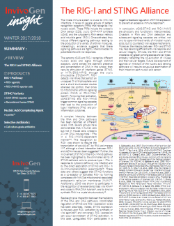 InvivoGen Insight Newsletter - The RIG-I and STING Alliance 