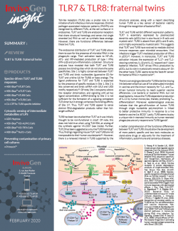 InvivoGen Insight Newsletter - TLR7 & TLR8: fraternal twins