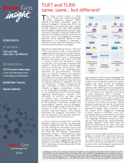 InvivoGen Insight newsletter - InvivoGen Insight : TLR7 and TLR8 