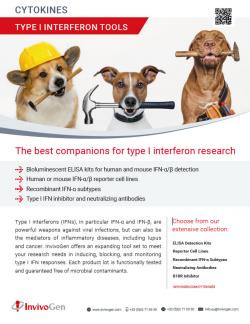 InvivoGen's product flyer on Type 1 interferon tools