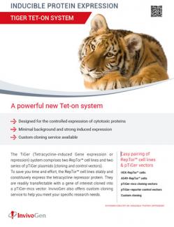 InvivoGen's product flyer on TiGer Tet-on System