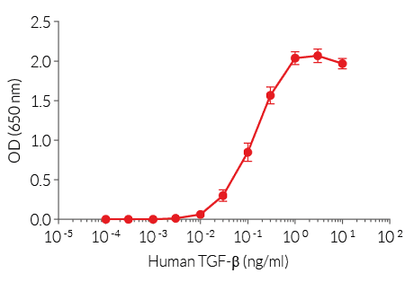 Cellular response to human TGF-β