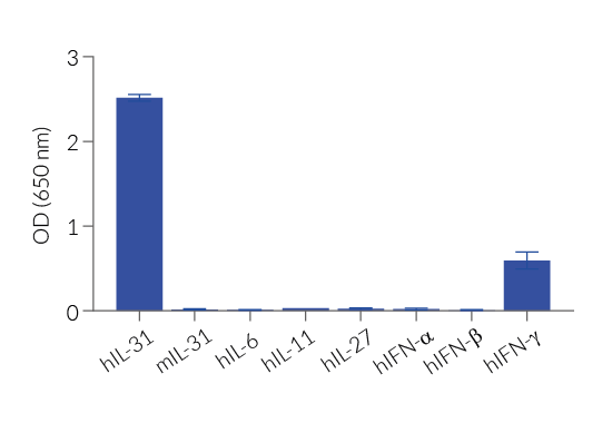 Response of HEK-Blue™ IL-31 cells to a panel of cytokines