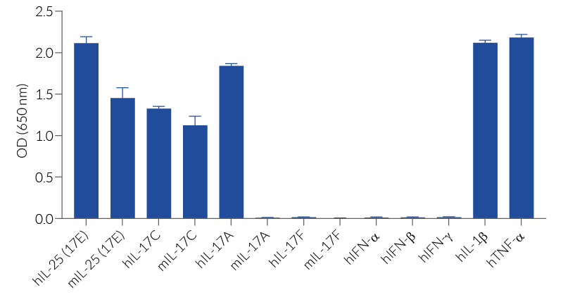 Repsonse of HEK-Blue™ IL-25/IL-17C cells to a panel of cytokines