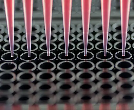 PRR Compound Screening InvivoGen