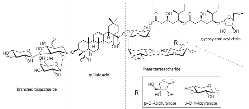 QS-21 Chemical Structure