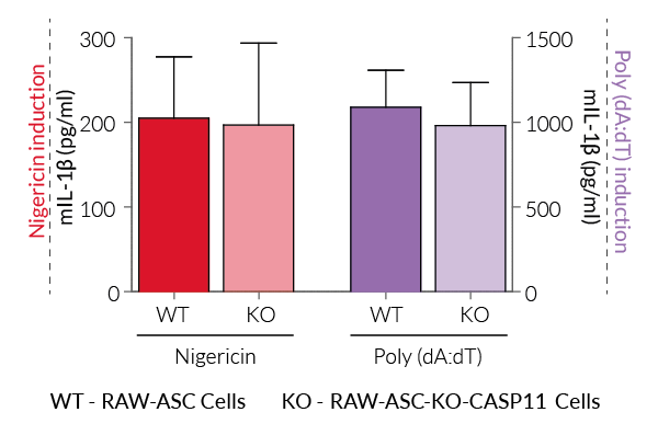 Secretion of mature IL-1β upon canonical inflammasome activation