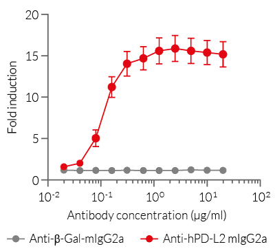Disruption of PD-1/PD-L2 inhibitory interaction using Anti-hPD-L2 mAb