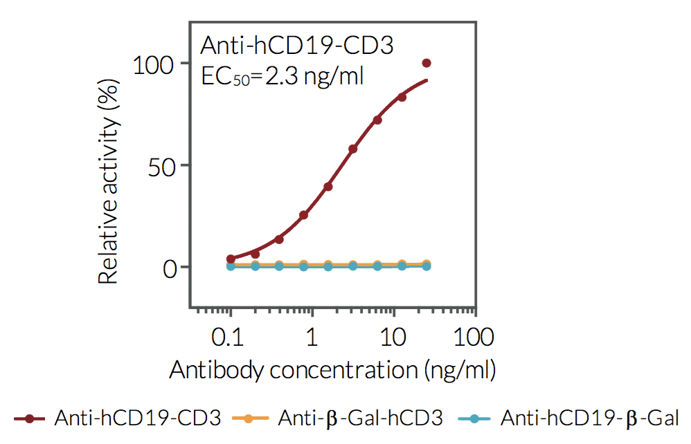 Evaluation of T cell activation