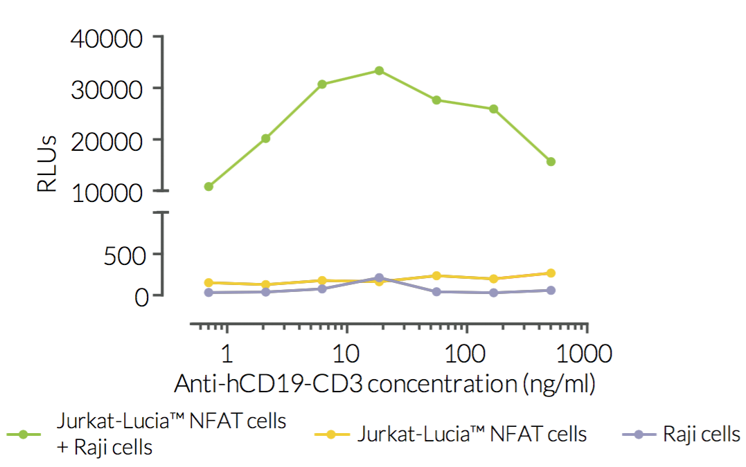 Target specificity of Anti-hCD19-CD3
