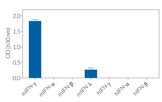 Response of  B16-Blue™ IFN-γ cells to a panel of cytokines