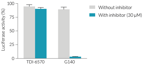 Inhibitory effect of TDI-6570 on human cGAS