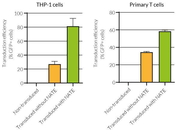 Greater transduction efficiency (folds)
